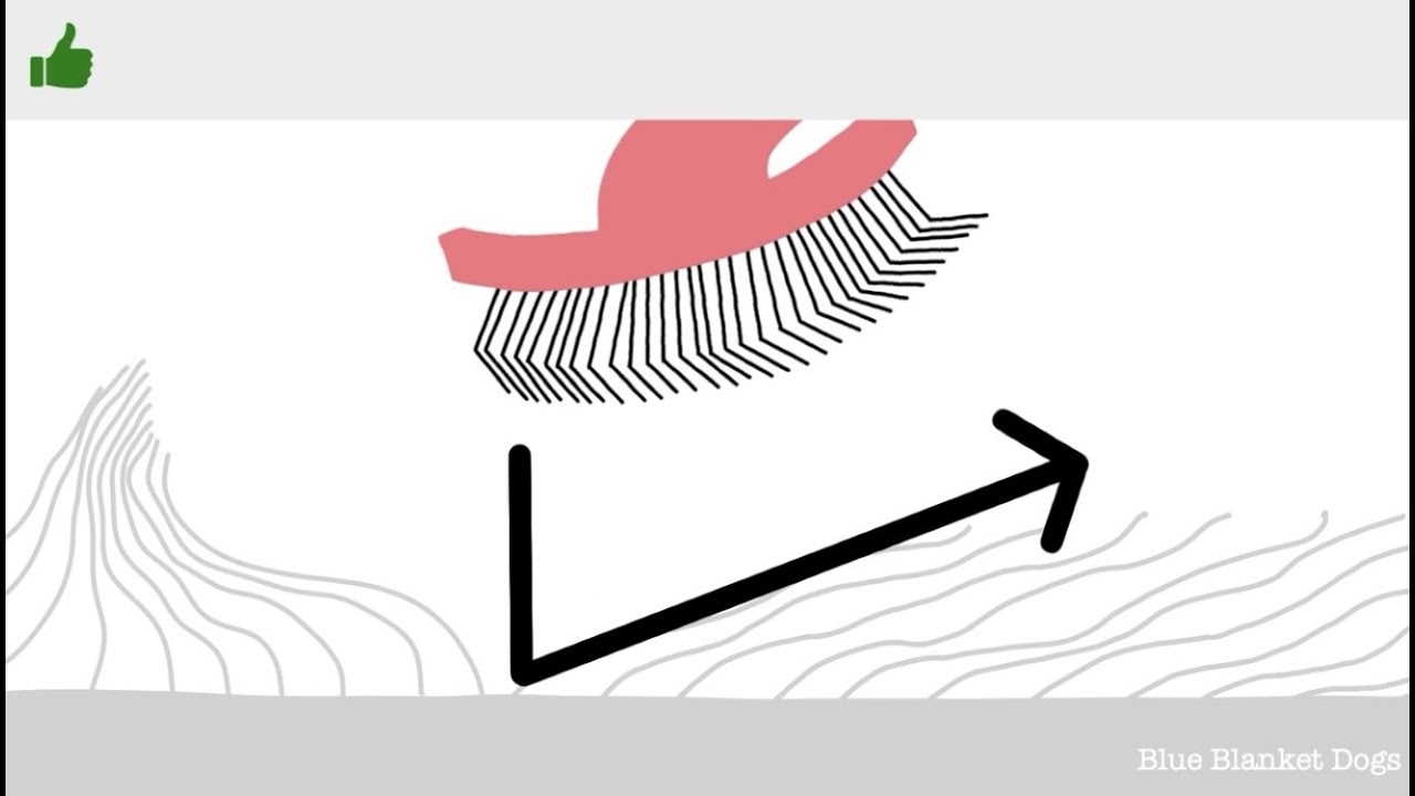 How to Use a Slicker Brush with “Pat and Pull” Technique