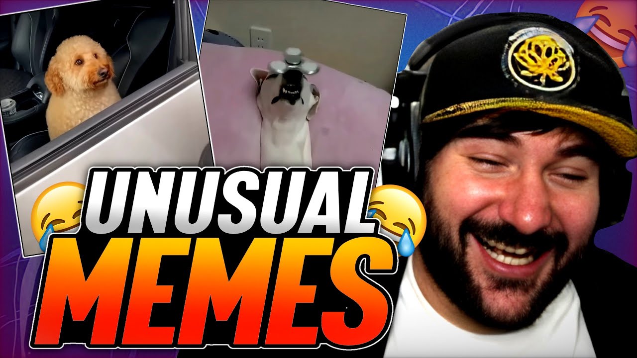 PUTUPAU REACCIONA a UNUSUAL MEMES COMPILATION #7
