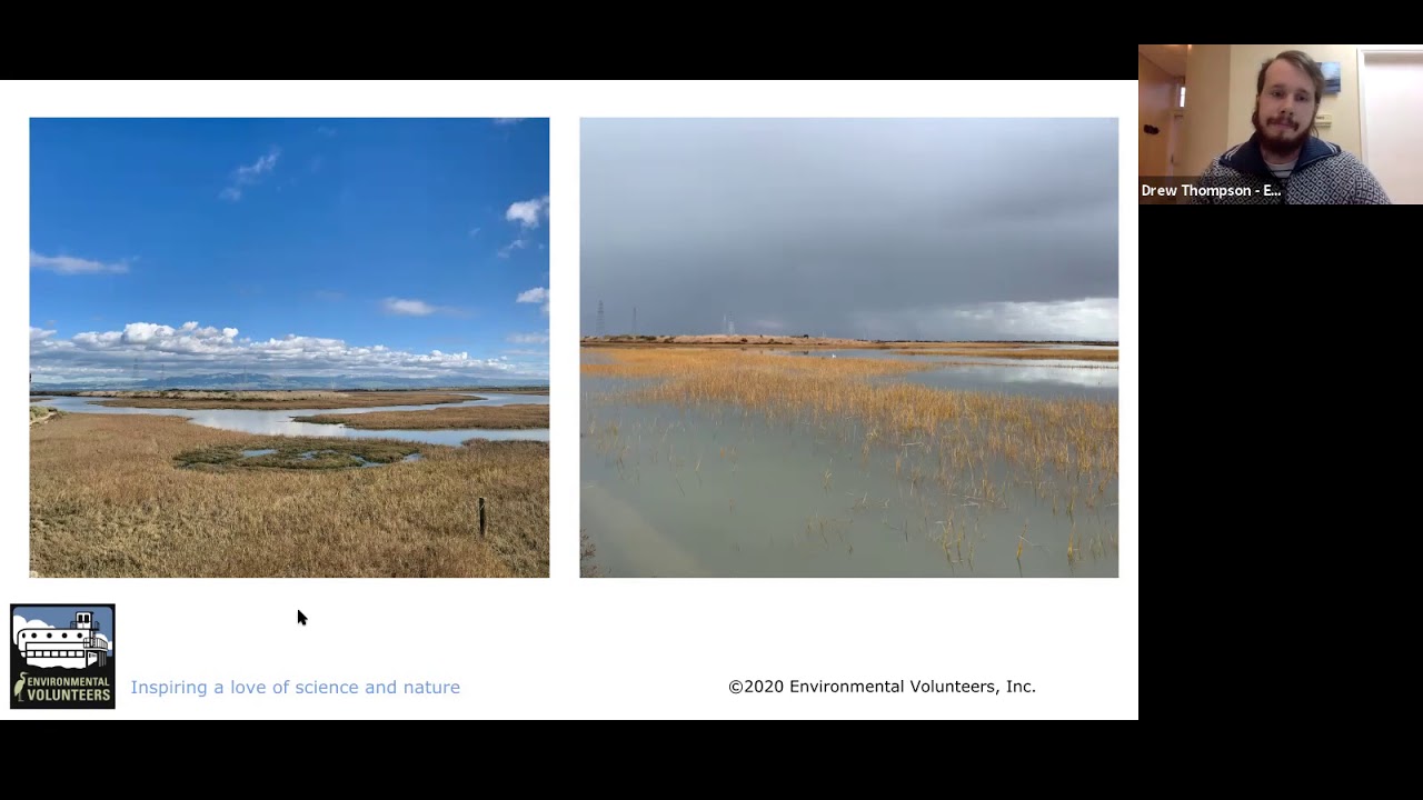 King Tides Program