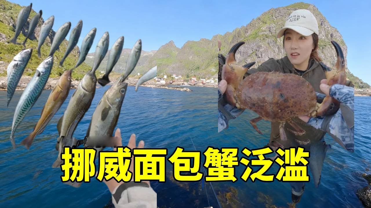 国内的顶级食材面包蟹居然在国外挪威泛滥了，不远万里来到挪威，家门口抓到了超大面包蟹  #钓鱼 #fishing #大豪夫妇