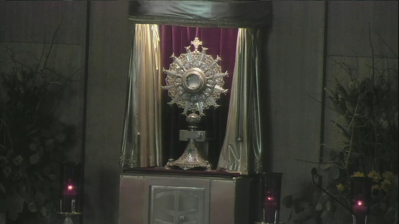 3:00pm Divine Mercy Chaplet & Rosary