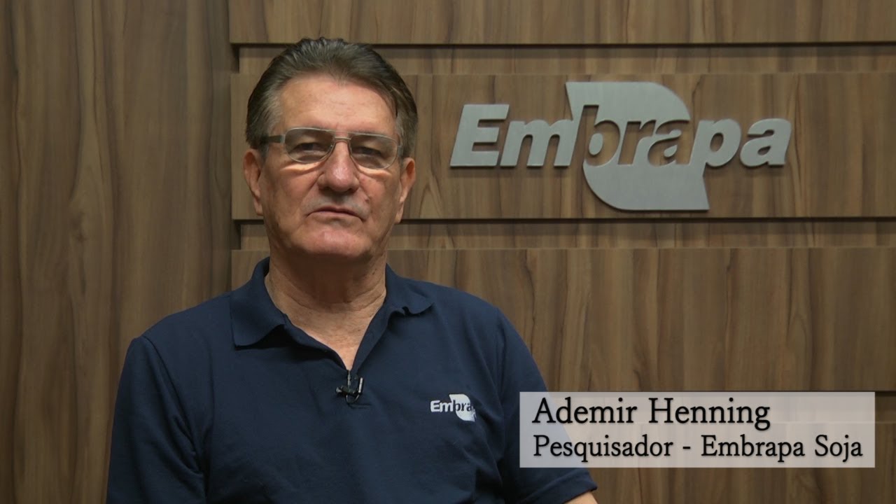 Tratamento de Sementes com fungicida