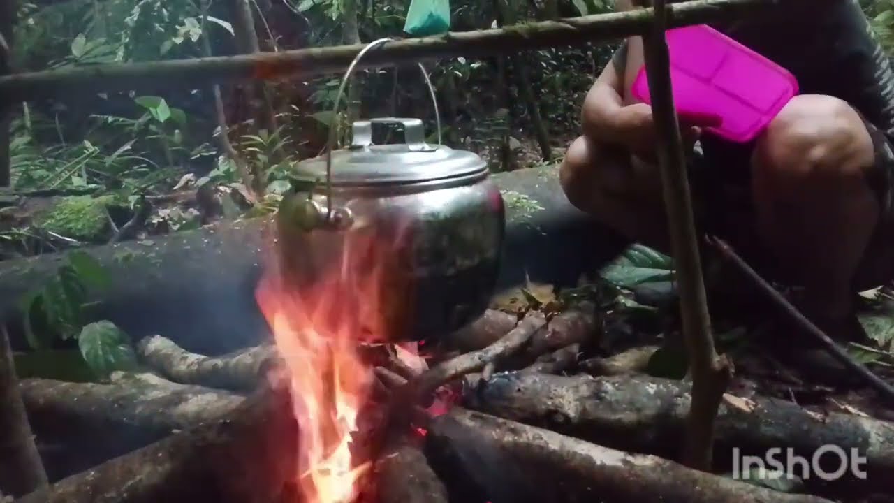 Bertahan hidup di hutan& masak dan makan @jejaklangkah-1224 