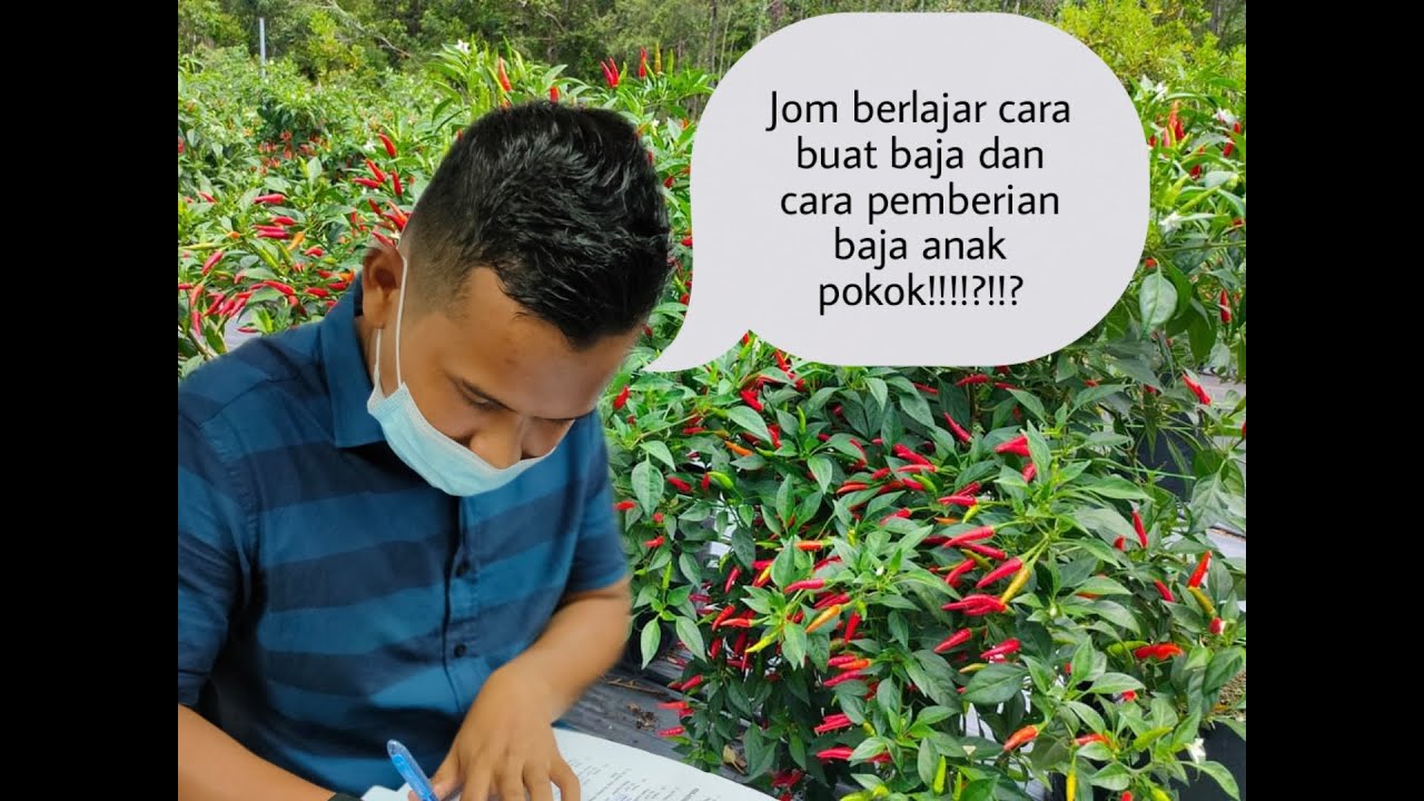 SENANGNYA BANCUH BAJA AB DAN TUTORIAL PEMBAJAAN ANAK POKOK DALAM TRAY!!!!