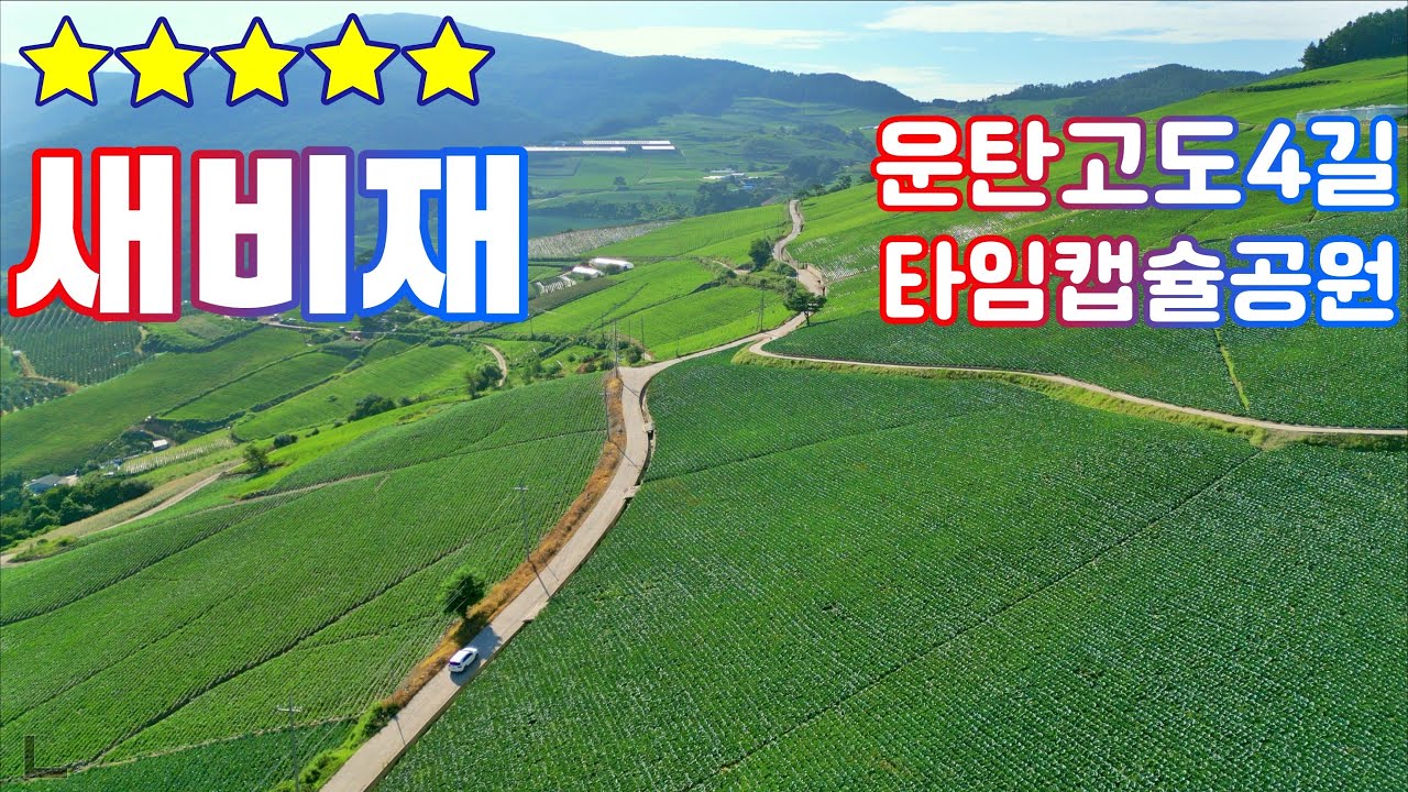 운탄고도 1330 4길 새비재 . 강원도 정선 신동 . 타임캡슐공원 . 50만평 배추밭 . 은하수 . 아름다운 길 드라이브 . 드론 . 잠깐쉼 . 4K . BGM