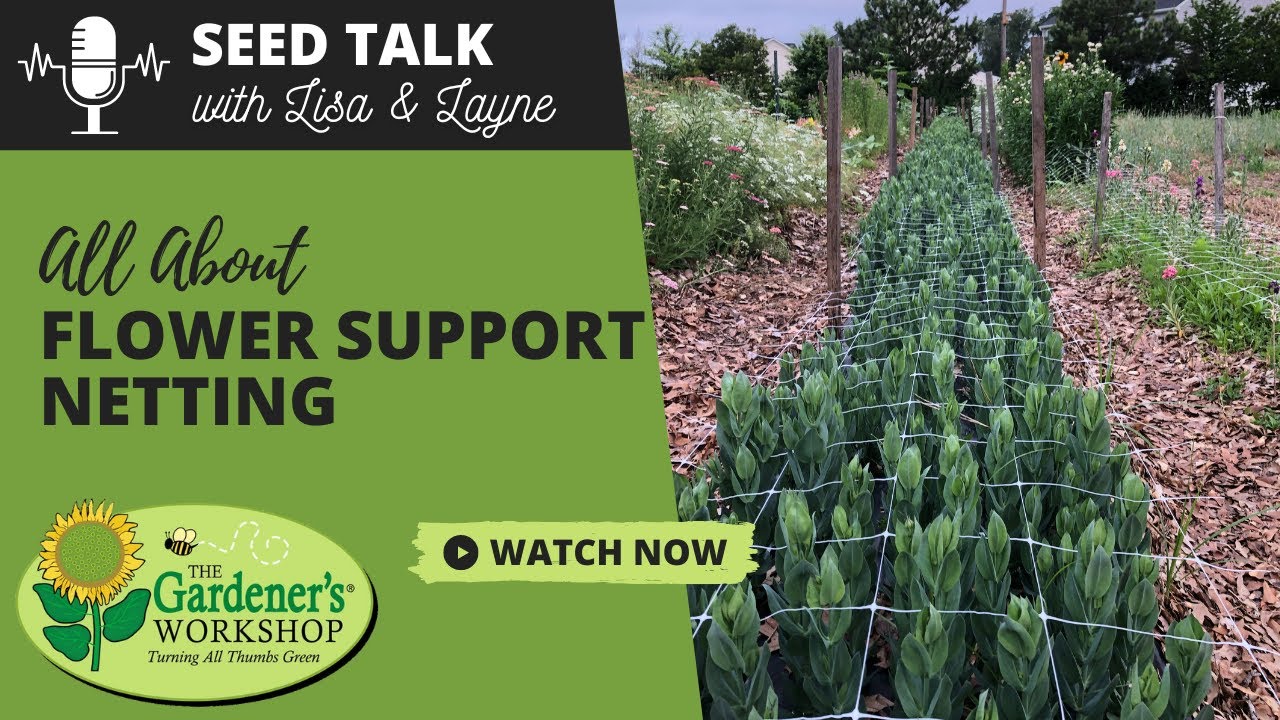 Seed Talk #91 - All About Flower Support Netting