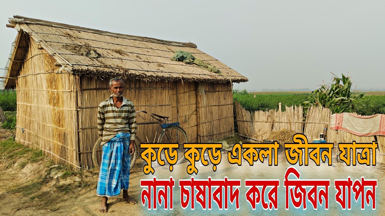 🌾 চরের মাঝখানে একাকী কুঁড়েঘর | গ্রামের বাস্তব জীবন।River Char Life in Assam| Lonely Mud House Story