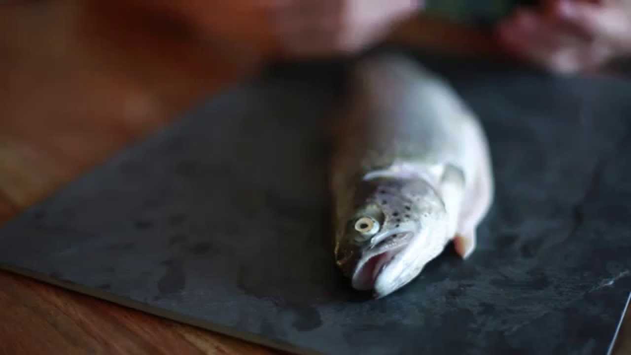 Gefahr in der K&uuml;hltheke: So erkennt ihr wirklich frischen Fisch
