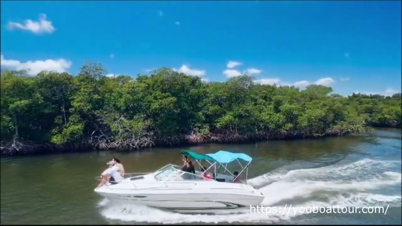 Sea Ray 215 Express Cruizer