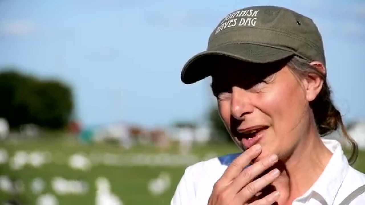 Spiselige vilde planter i den danske natur 1