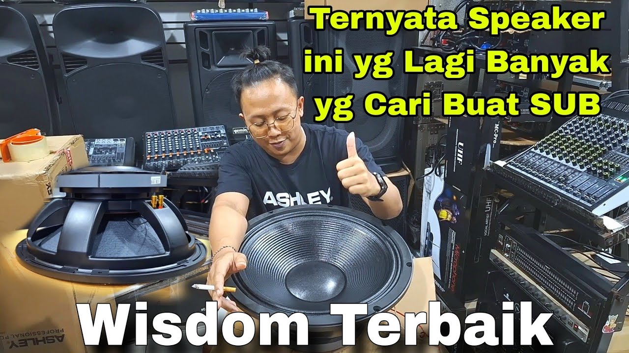 Review Speaker Wisdom 18 inch Paling Banyak di Cari Kang Sound - L18-6616