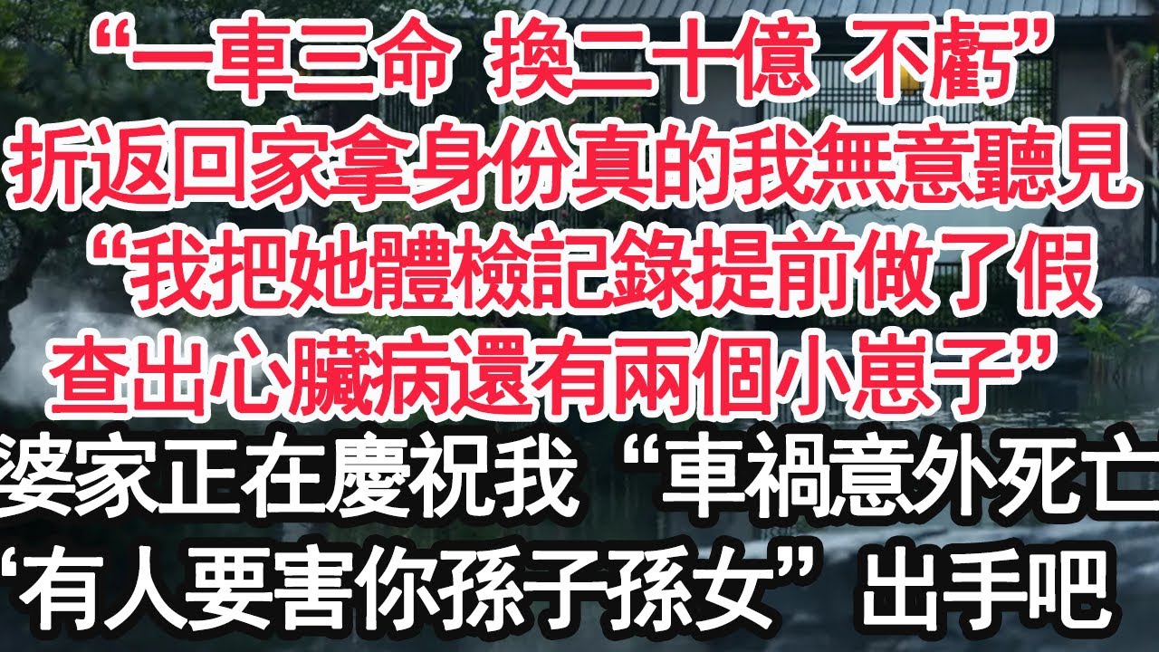 “一車三命 換二十億 不虧”折返回家拿身份真的我無意聽見，“我把她體檢記錄提前做了假，查出心臟病還有兩個小崽子”婆家正在慶祝我“車禍意外死亡”電話“有人要害你孫子孫女”出手吧【顧亞男】【大女主】