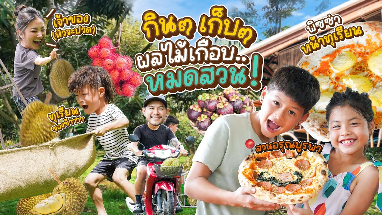สวนผลไม้ 30 ไร่ ก็ไม่พอปากท้อง 3 กุมาร เก็บเองกินเองวิถีชาวสวน !! | กุมารTravel EP.373