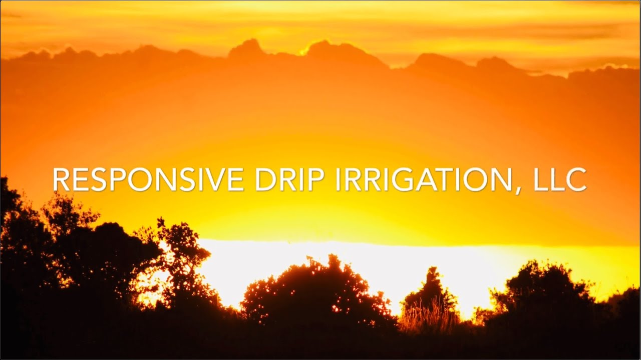 RDI Project Video