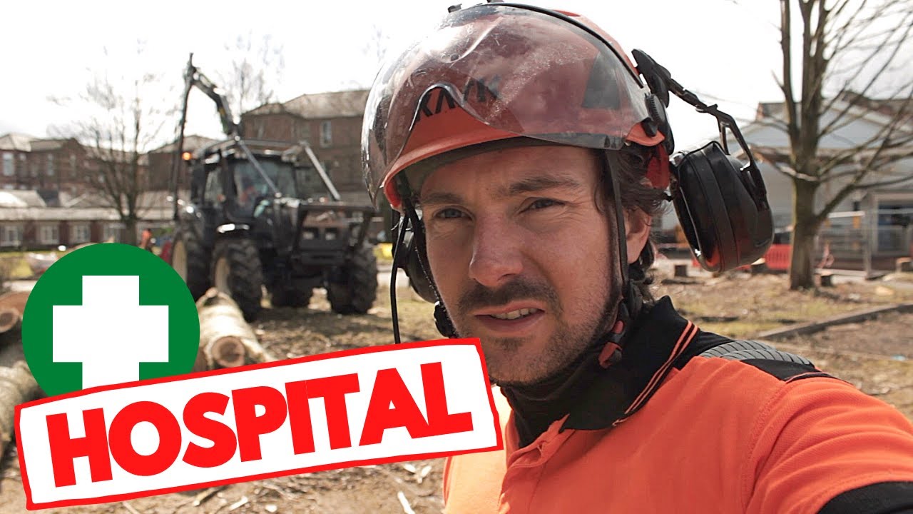 UK Arborist VLOG (Hospital site clearance)