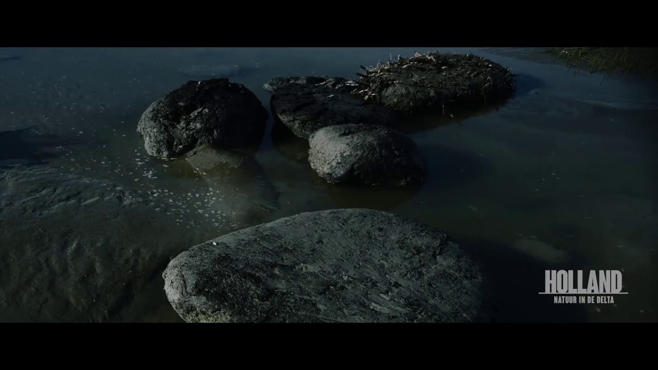Polders