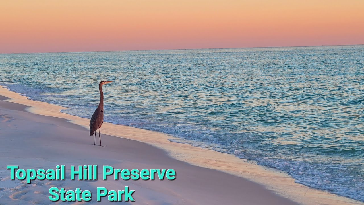 Brinkley RV Life at Topsail Hill Preserve State Park Florida | Campground Tour & Review EP171