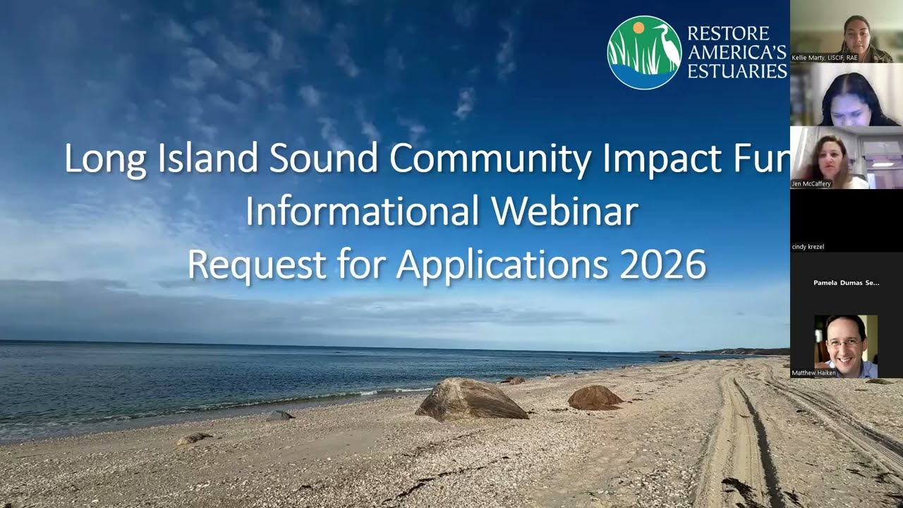 LISCIF 2026 RFA Informational Webinar