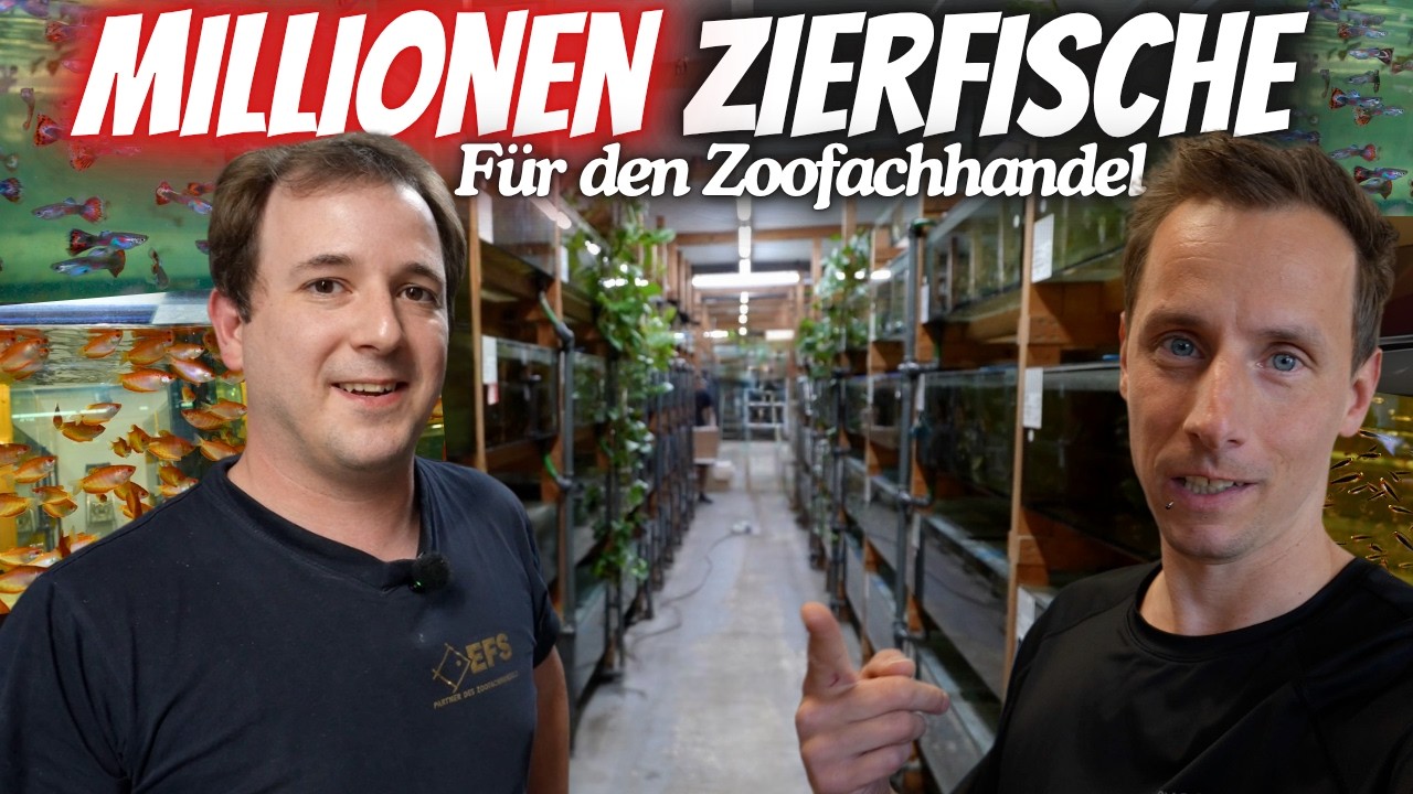 Exklusiv: Millionen Zierfische & Raritäten – EFS Zierfischgroßhandel