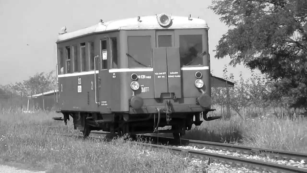 M131.1463 Boř&iacute; les - Charvatsk&aacute; Nov&aacute; Ves