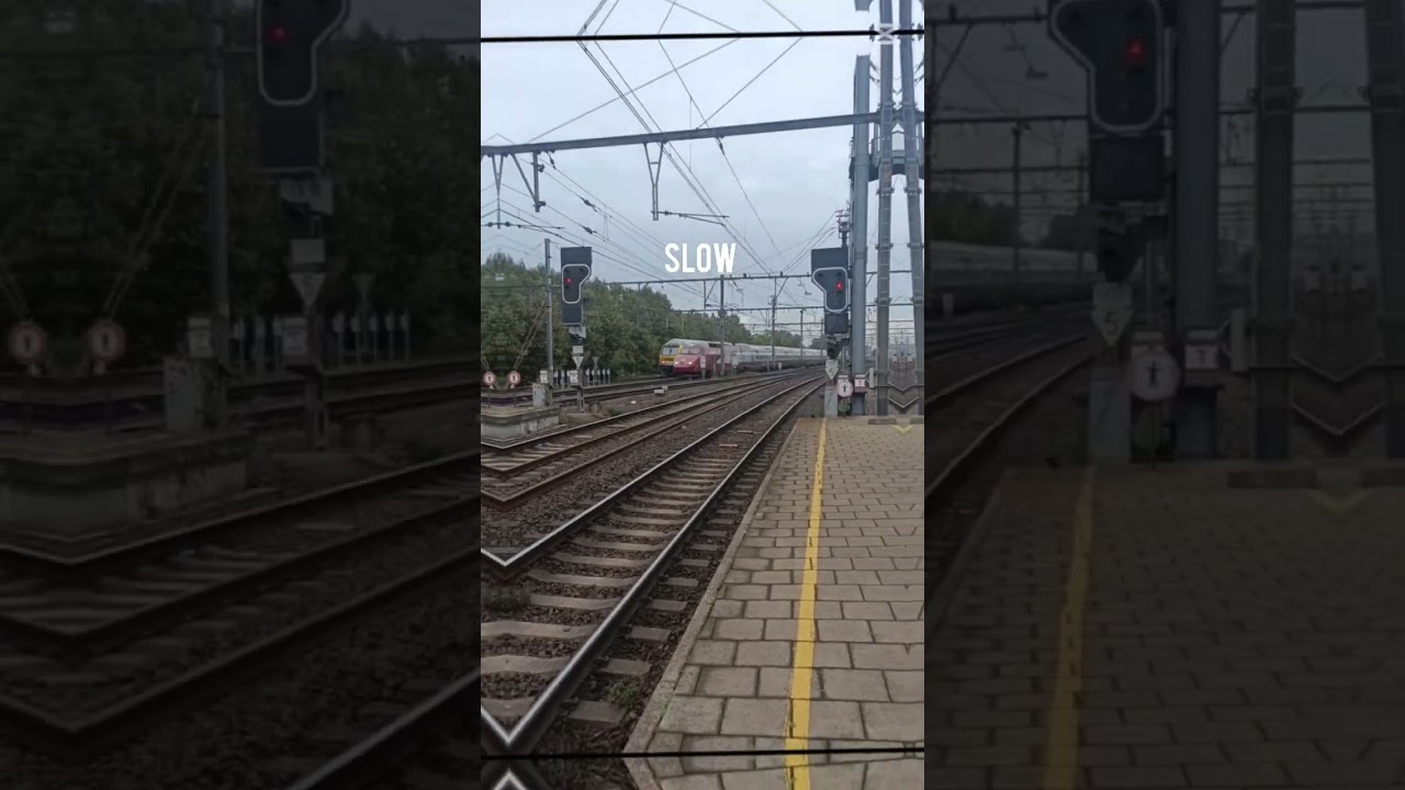 Slow Thalys VS fast Thalys train 🇧🇪