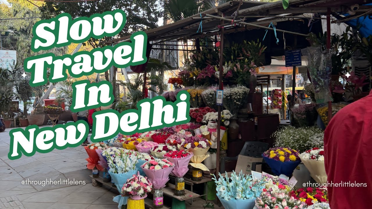Slow Travel in New Delhi | With Friends