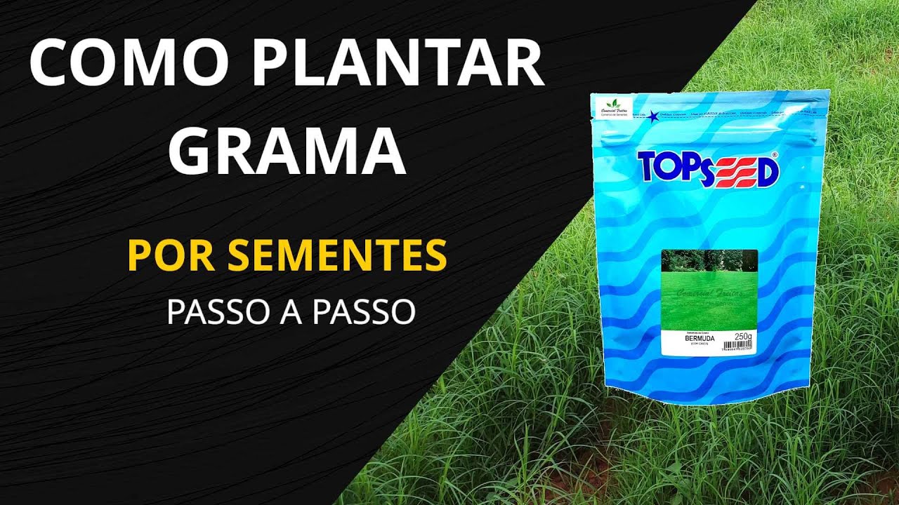 Como Plantar Grama por Sementes  - Passo a Passo - Grama Bermuda