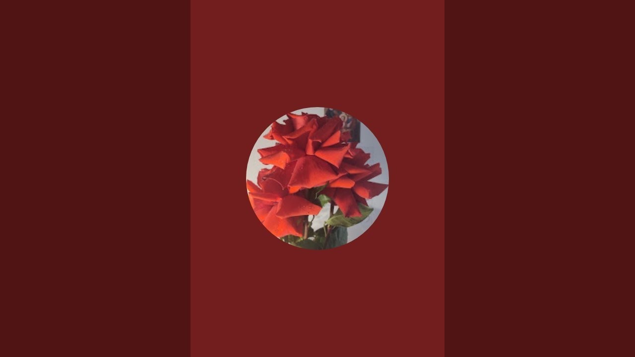 ТАРОРИНА в прямом эфире!