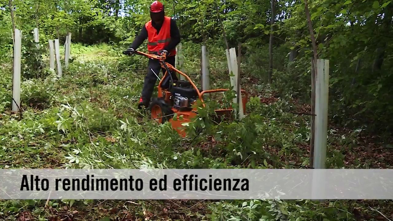 AS 65 Scout -  falciatutto per superfici boschive