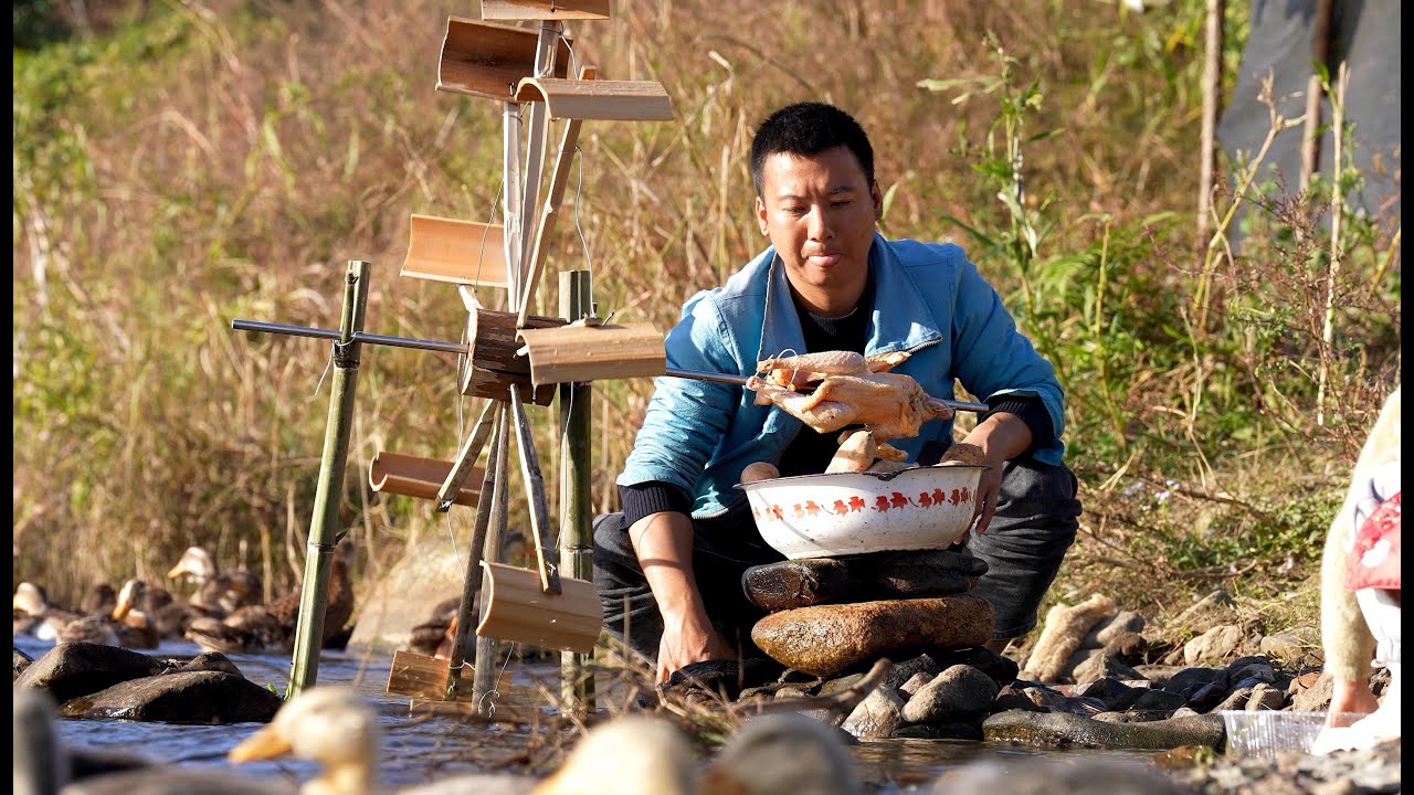 华农兄弟：这只鸡偷吃猪的玉米粒，这样下去不行的，抓去河边烤了