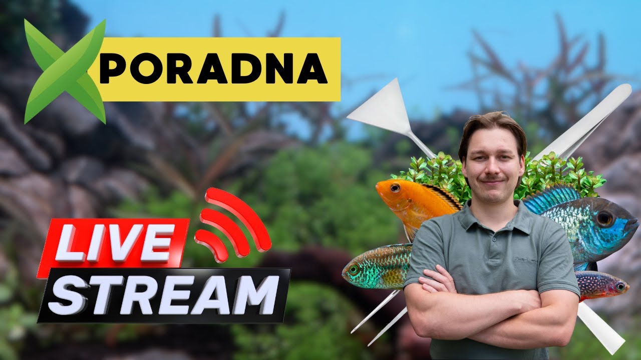 AkvaX Poradna 17.2.2026