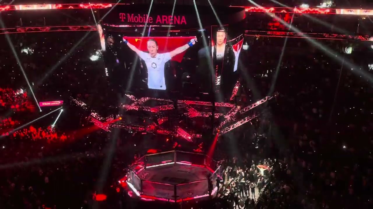 UFC 300: Zhang 