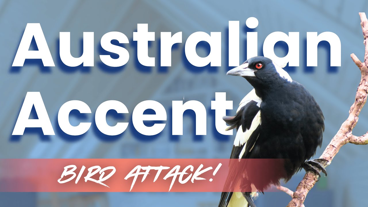 Australian Accent Listening Practice | Short English Story for Beginners 🐦‍⬛