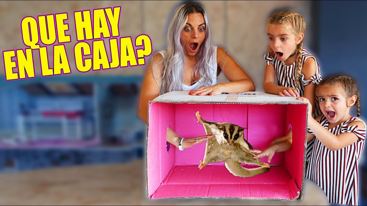 QUE HAY EN LA CAJA 📦😱 ANIMAL EXOTICO 🐸 Itarte Vlogs