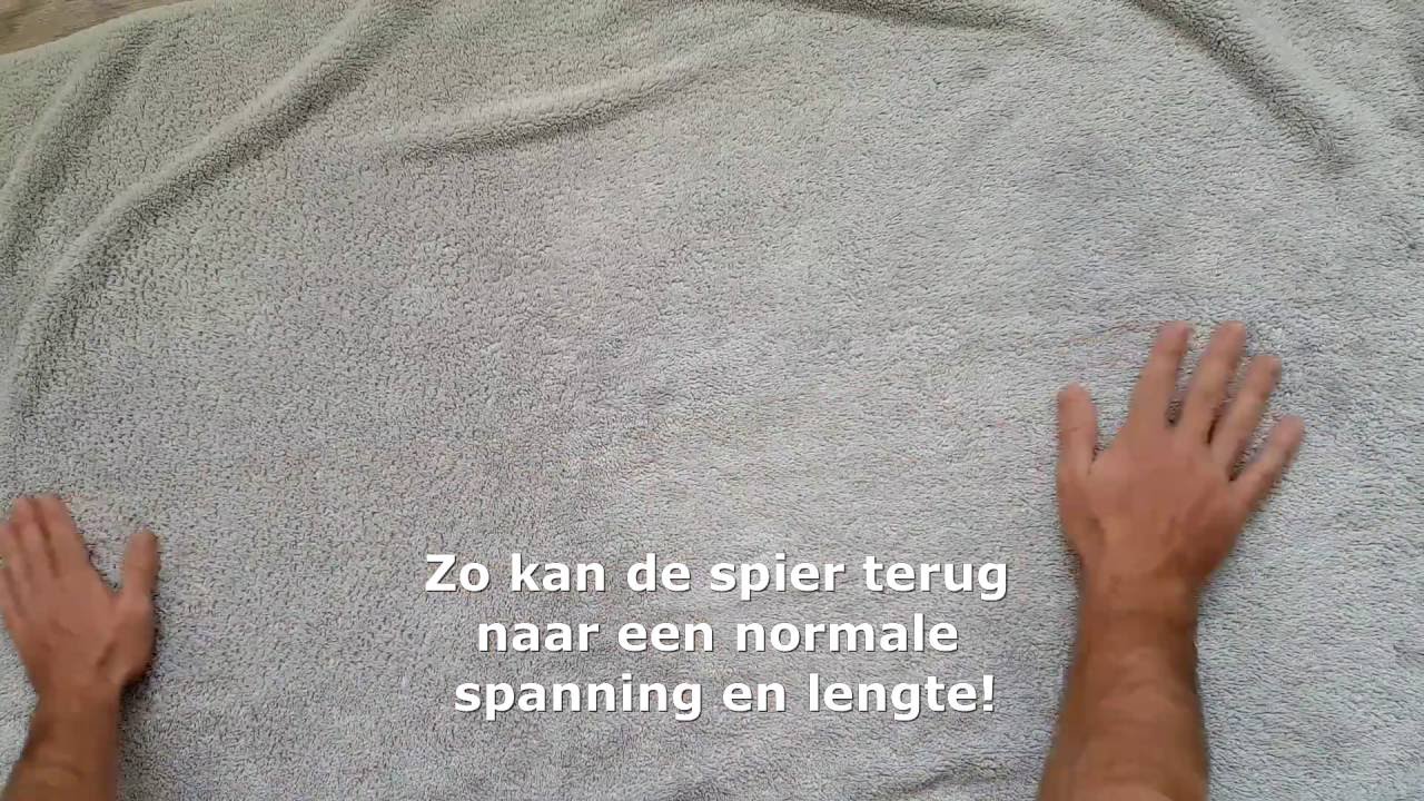 Restore uitgelegd in 1 minuut