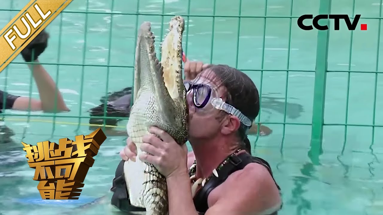第8期：硬汉徒手捕捉凶猛鳄鱼 撒贝宁怂恿董卿给鳄鱼刷牙 | 挑战不可能第一季 Impossible Challenge S1 EP8: Catching Alligators Barehanded