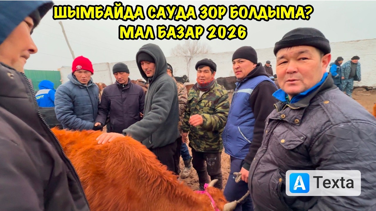 15-ФЕВРАЛЬ/2026/ШЫМБАЙ МАЛ БАЗАРЫ/МАЛ БАЗАР 2026/ДЕМ БЕРМЕС МАЛ БАЗАР