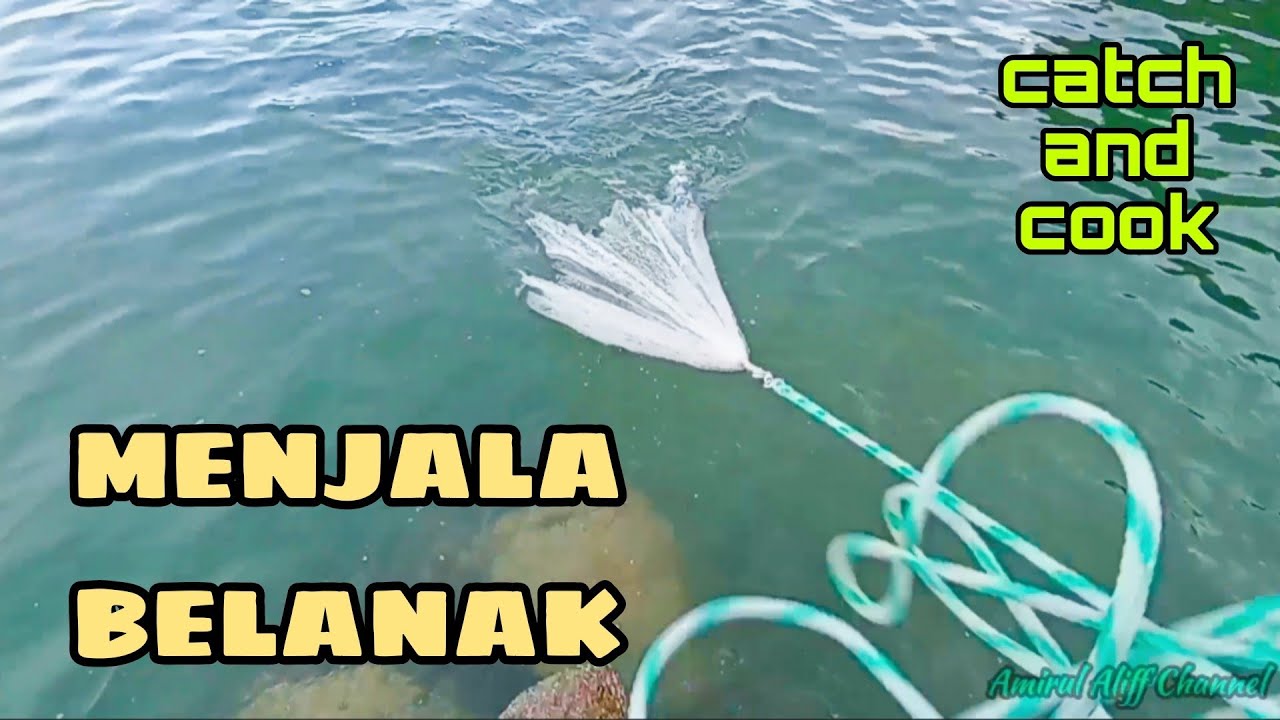 #EP757 Rezeki Terjumpa Bodong Ikan Belanak - mancing dan menjala di tepi laut