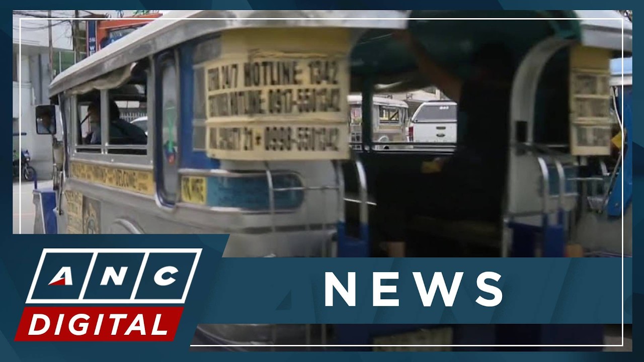DSWD Sec. Gatchalian: Gov't subsidy for PUV, TNVS drivers up next | ANC