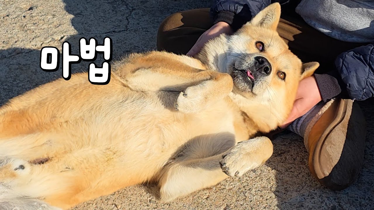 이걸 어떻게 참아요