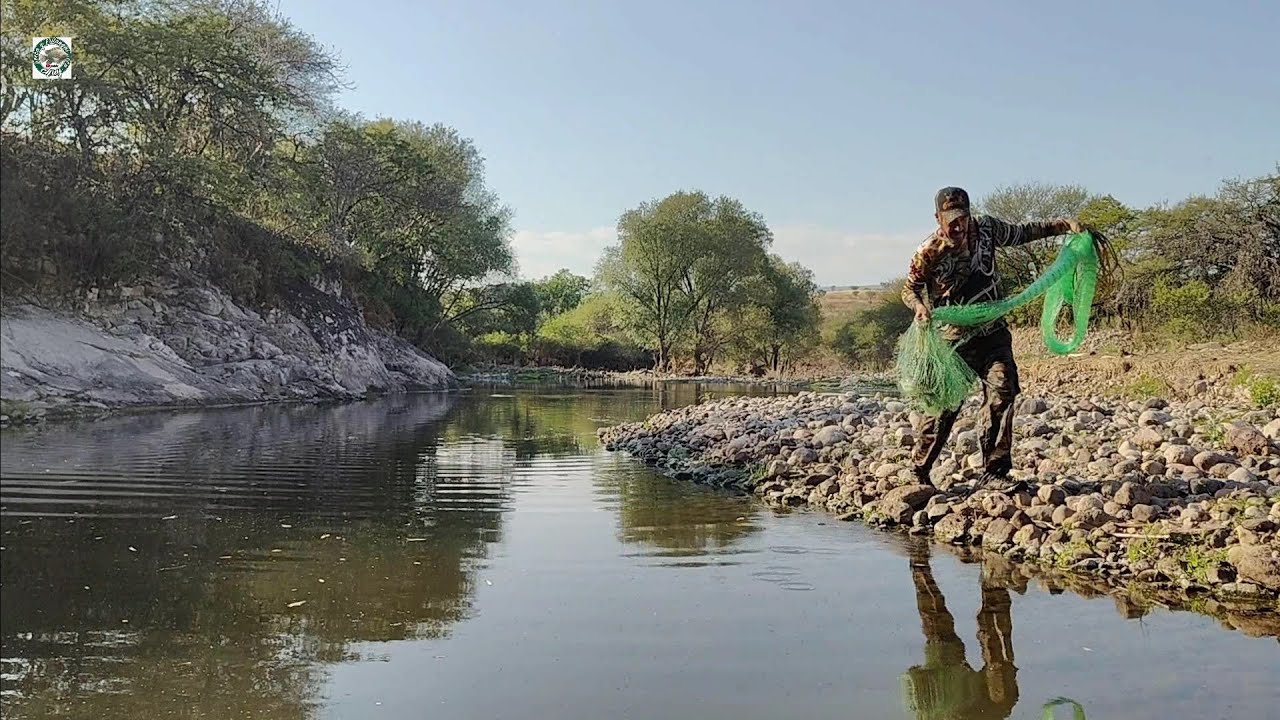 Riachuelo con charcos grandes llenos de carpas tilapias bagres boquinetes y mojarras amarillas