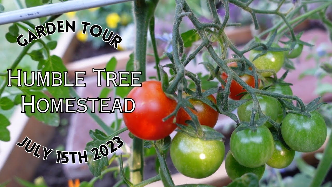Garden Tour Week 3