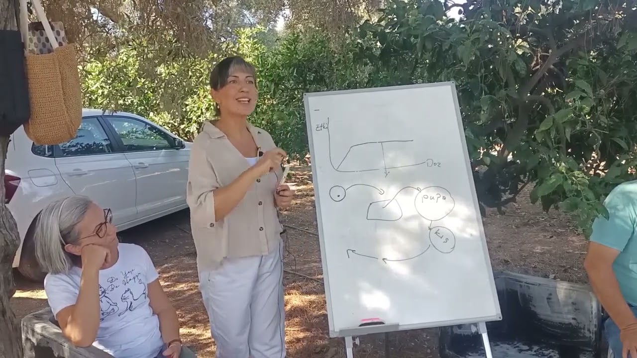 Mandalinada Eylül Bakımı