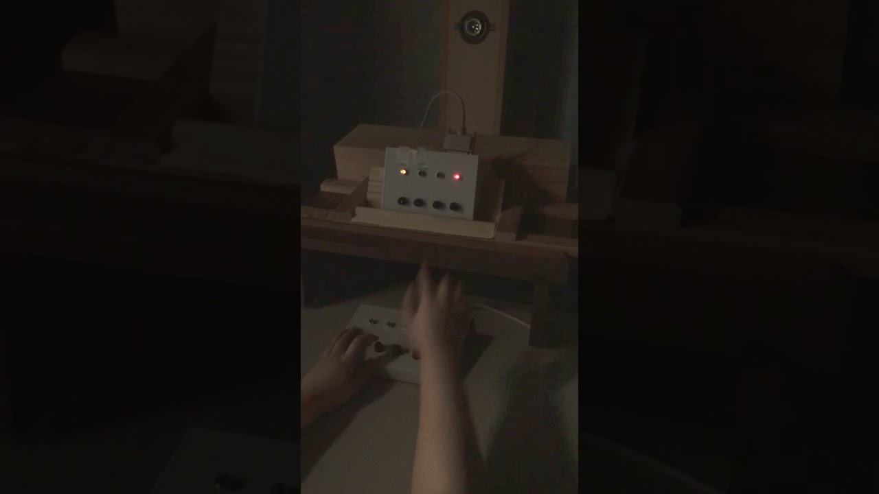 Go/No-Go Temporal Bisection Task. Using a LED Visual Stimulus