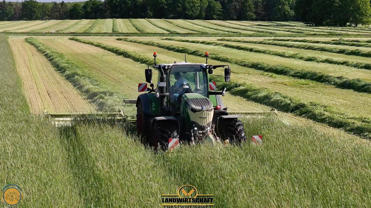 Lohnauftrag 350ha Roggen mähen & Häckseln für die Biogasanlage! Die Flächen schaffen wir heute noch