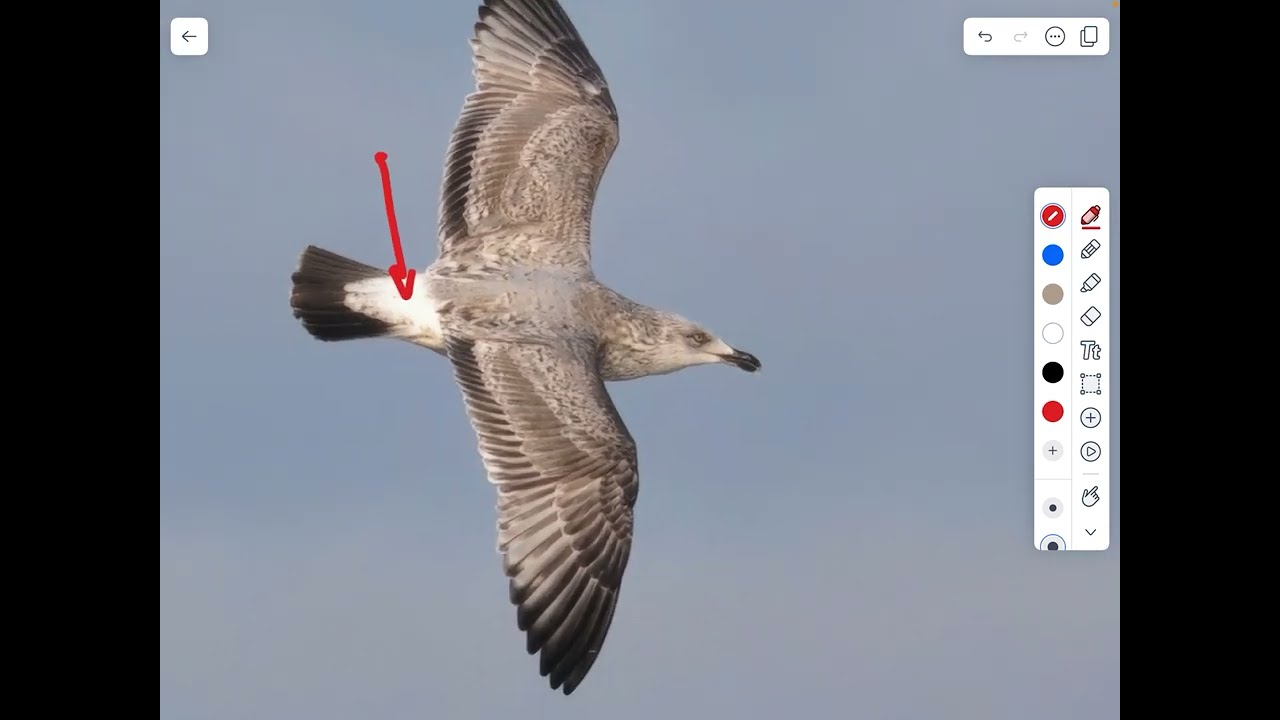 Featured Highlights May 2025 - Video 5