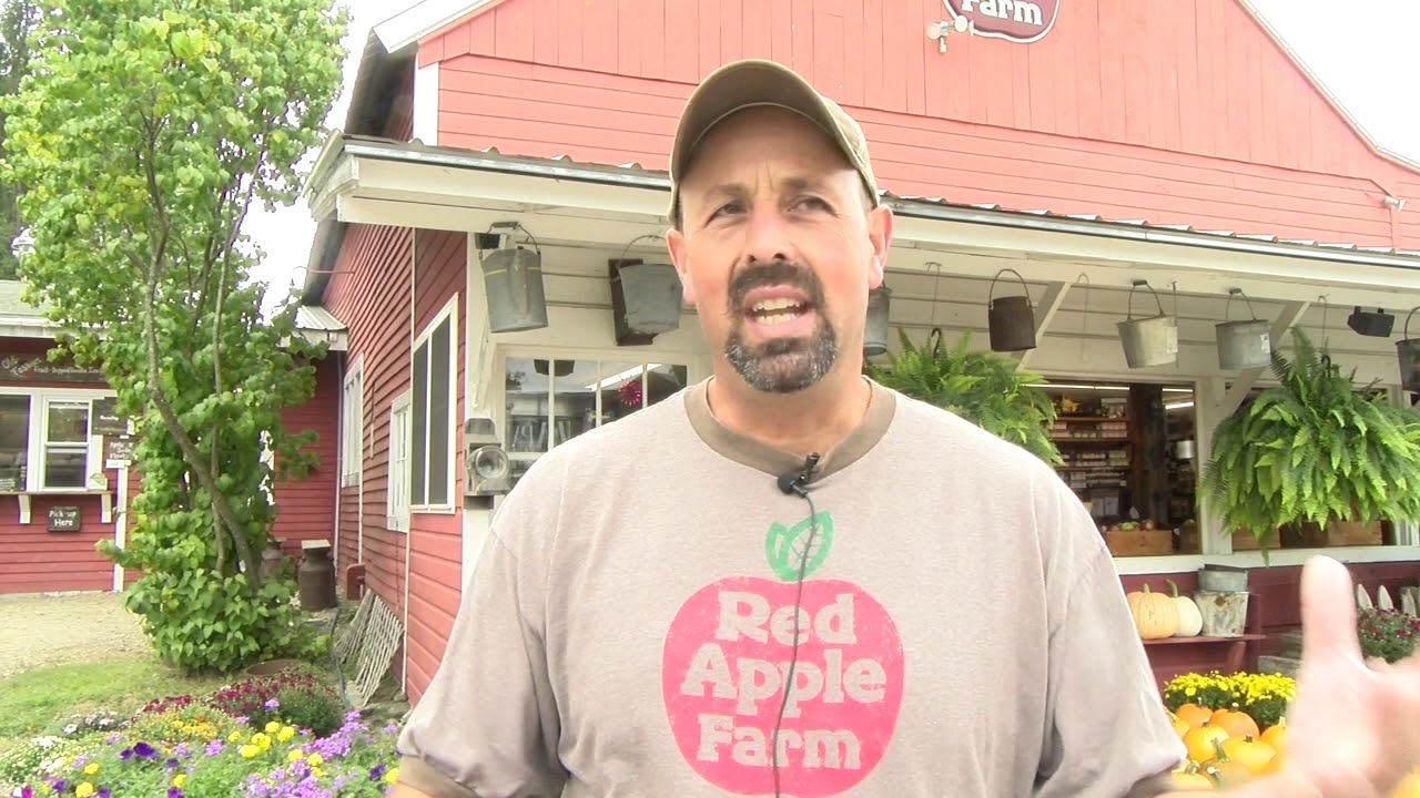 Local. Fresh: Red Apple Farm in Phillipston