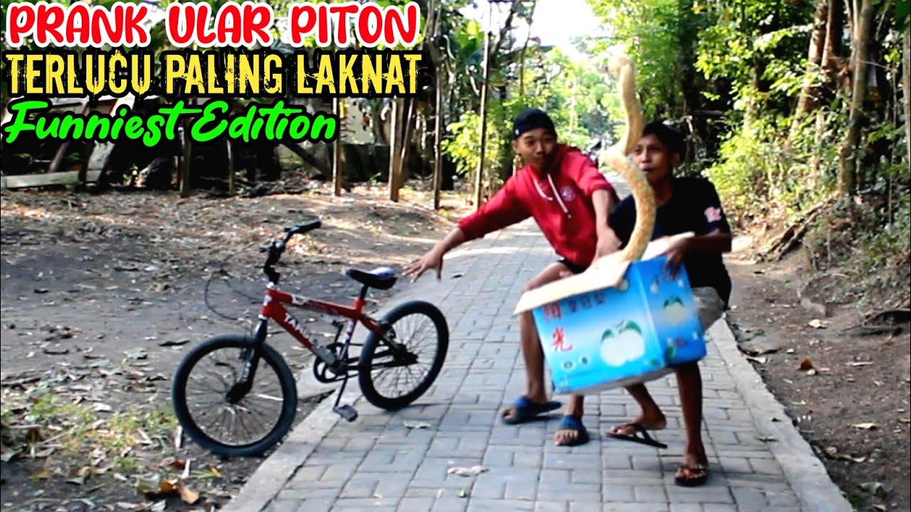 Prank Ular Piton Terlucu || Paling Laknat Auto Kocar-kacir #prank #funnyvideo #prankindonesia