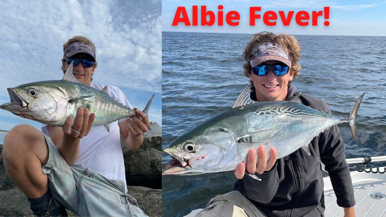 Fishing for Albies & Bonito off the Beach (Rhode Island False Albacore)
