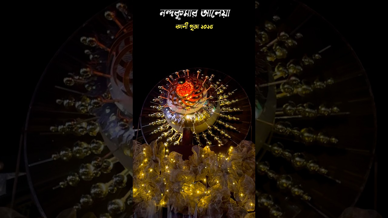 Nandakumar Aleya Kali Puja 2025 